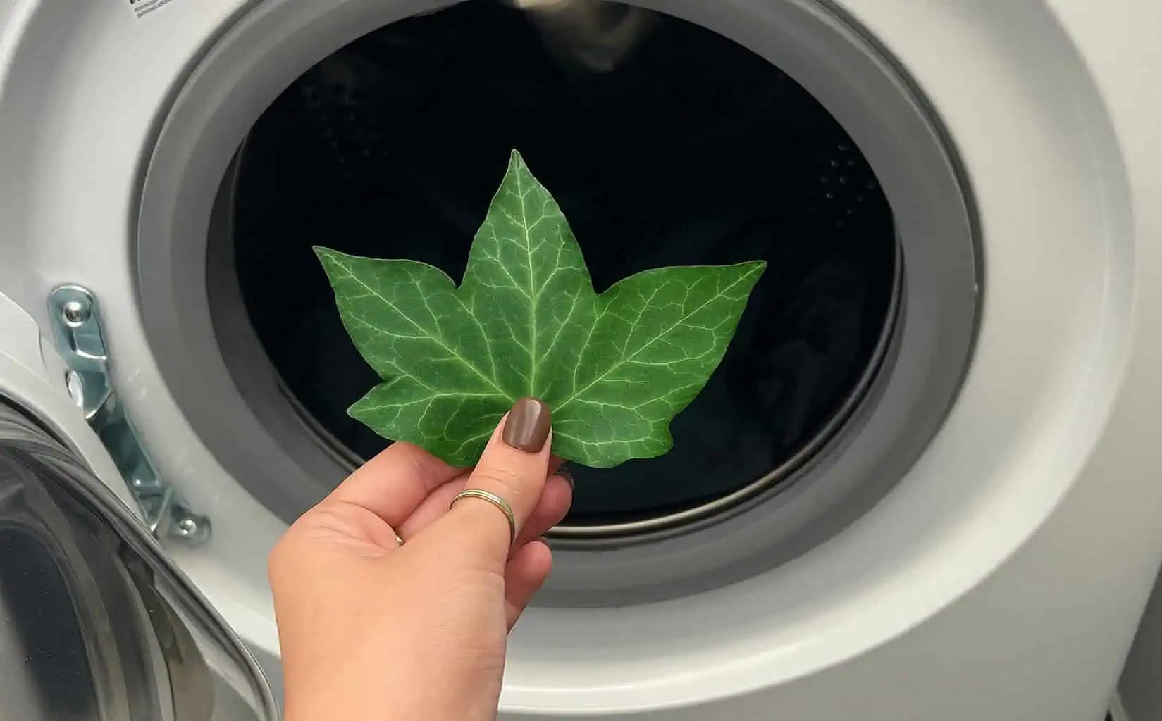 Mama mi poradila, aby som do práčky dala obyčajný brečtan: Neuveríte, čo dokáže tento trik!