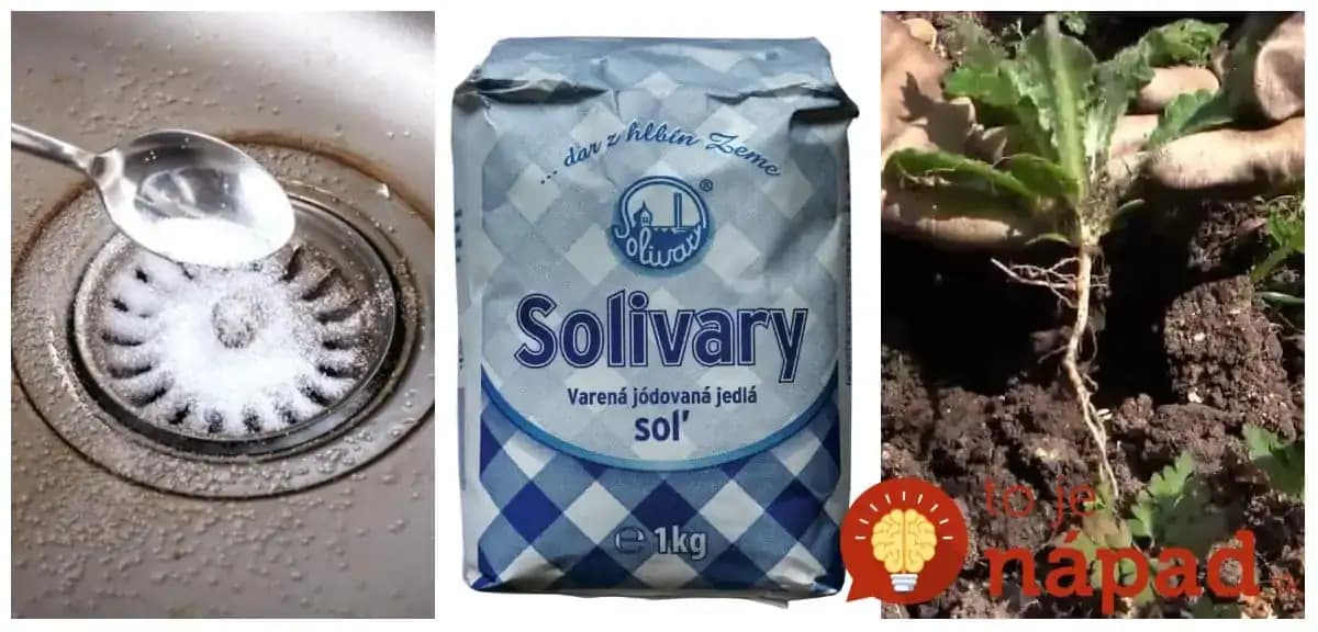 Títo ľudia používajú obyčajnú soľ spôsobom, o akom sa nám ani nesnívalo: 23 trikov, ktoré ušetria kopec peňazí aj námahy!