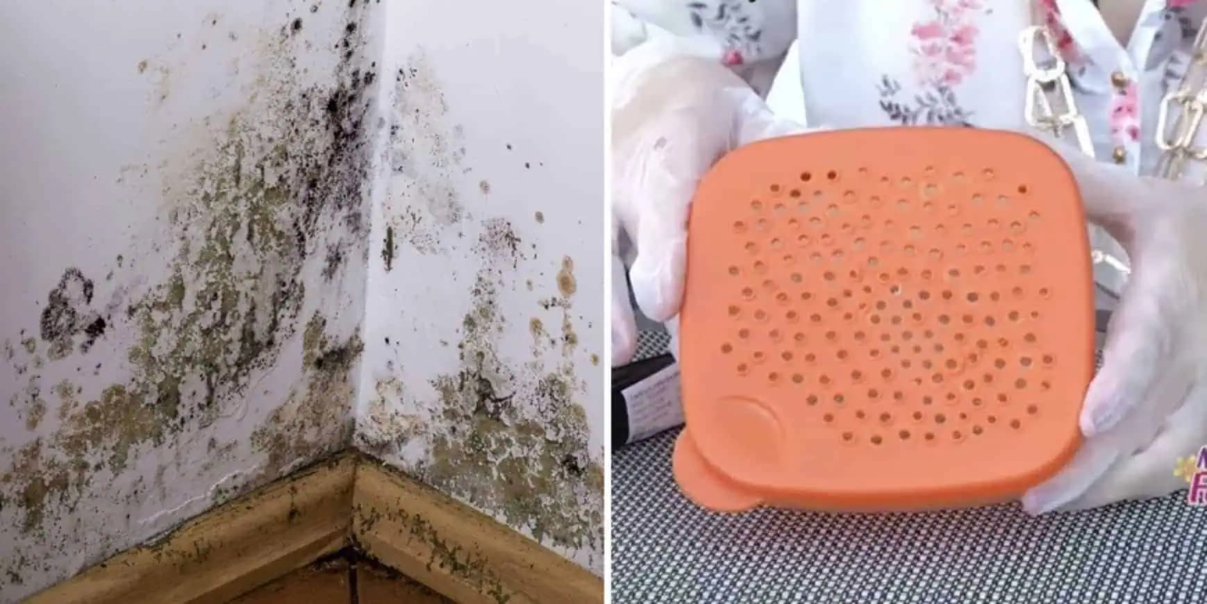 Zaručený domáci trik proti VLHKOSTI: Stačí to dať do izby a nepotrebujem drahé prípravky z obchodu, zmizla dokonca aj pleseň!