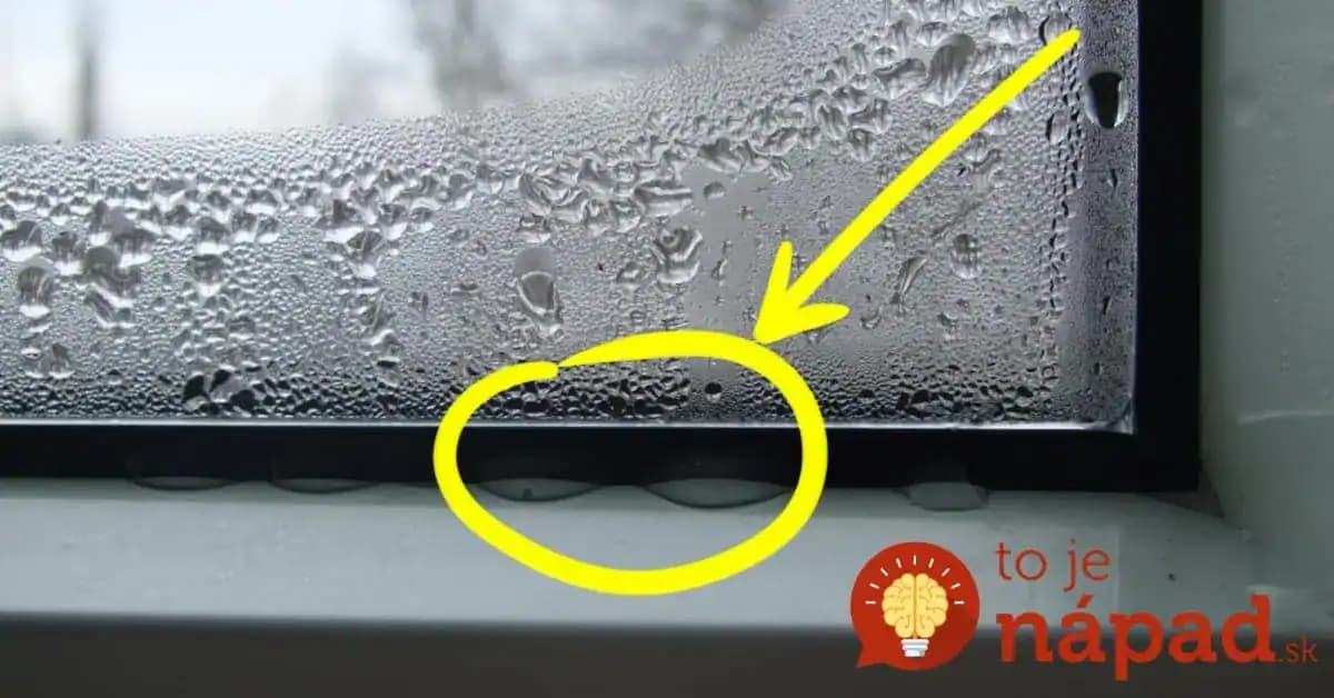 Rada pre všetkých, ktorým sa v byte rosia okná: Trik, ako roseniu zabrániť a predísť vzniku nebezpečných plesní!