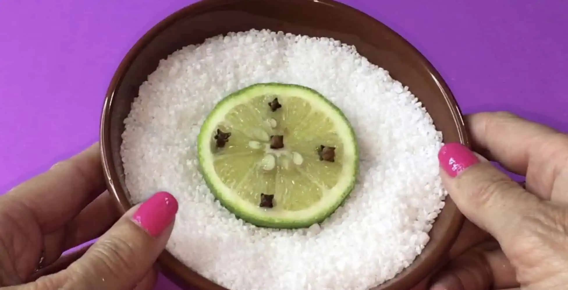 U mojej susedy doma to vždy krásne vonia: Toto je tajomstvo najkrajšej vône do bytu – na osviežovače z obchodu už ani nepozriete!