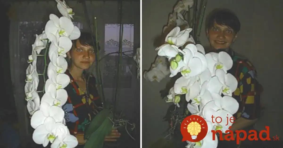 Z obyčajnej orchidey z obchodu vypestovala túto nádheru: Stačilo, aby urobila LEN tieto 2 veci!
