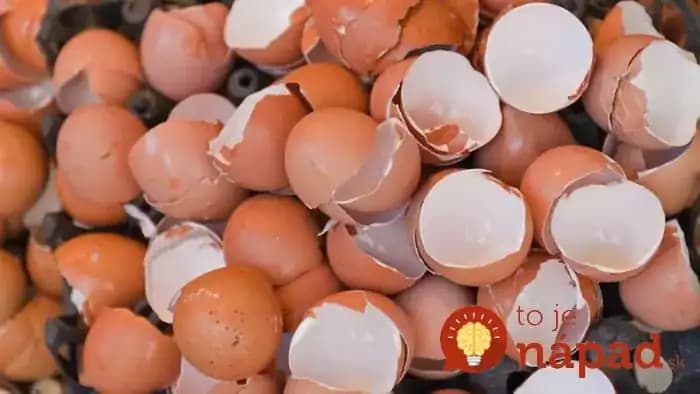 Už viac nevyhadzujte vaječené škrupinky: Sú až príliš cenné!