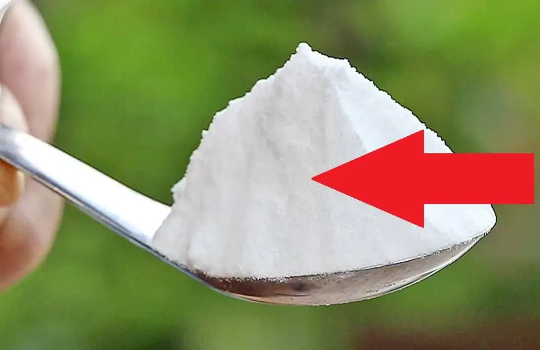 Od tohto momentu je lacná sóda v mojej záhrade považovaná za poklad: 1 balík vystačí na celú sezónu, ten účinok je na nezaplatenie!