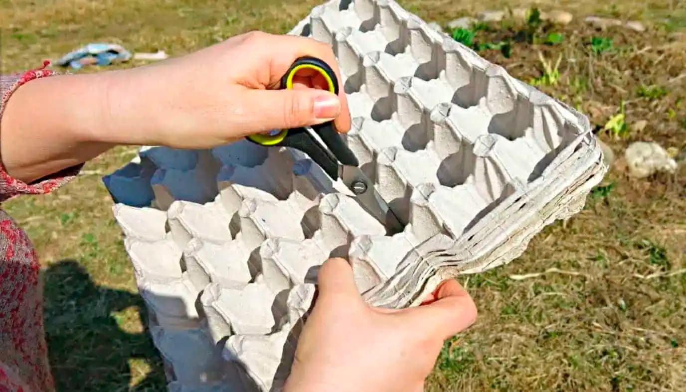 Priesady vystreľujú z pôdy za týždeň: Geniálny zlepšovák na sadenie mrkvy, reďkovky aj cibule v záhrade!