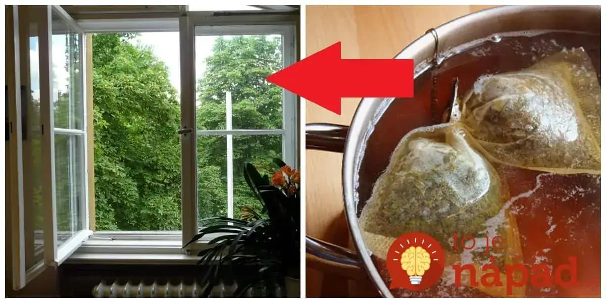 Keď starká išla umývať okná, vždy najskôr postavila na silný čaj: Ide o geniálnu fintu, ktorú využije každý!