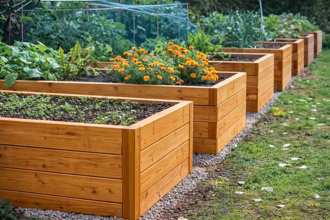 Zmeňte svoju záhradu na nepoznanie: 3 drevené projekty, ktoré zvládnete svojpomocne a nestoja majetok