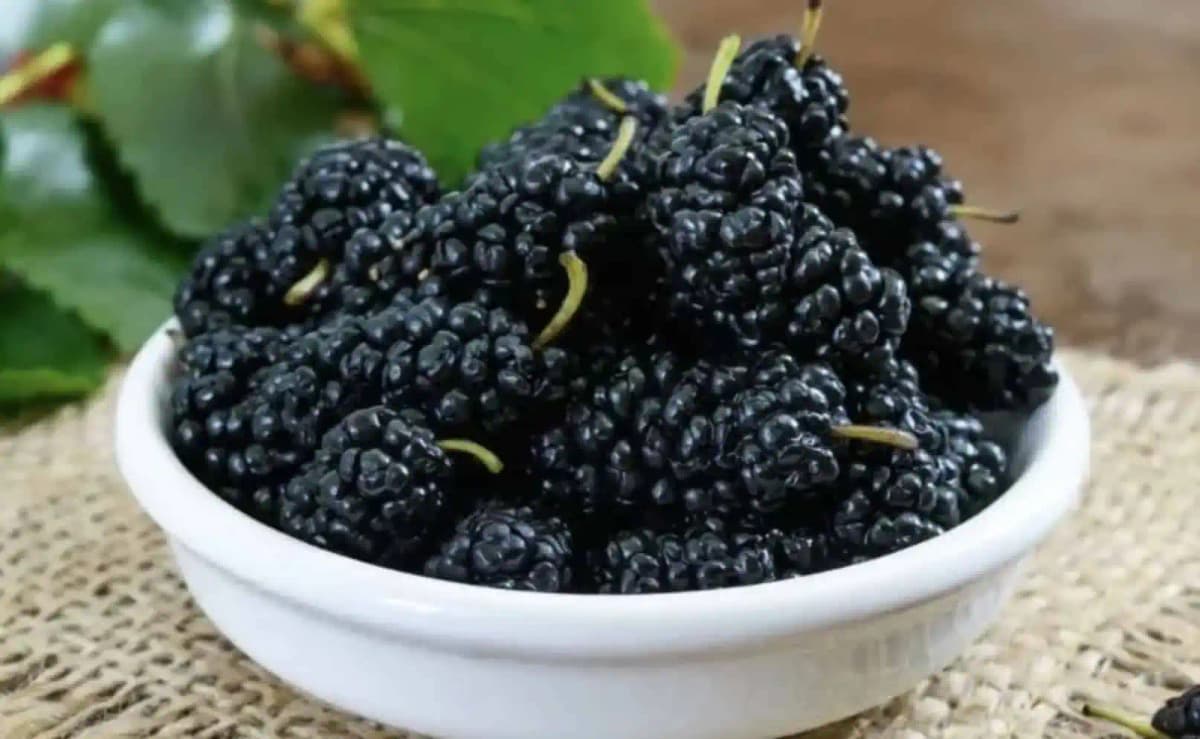 Spoznávate ovocie na obrázku? Neprávom sa naň zabúda, jeho účinky sú neskutočné!