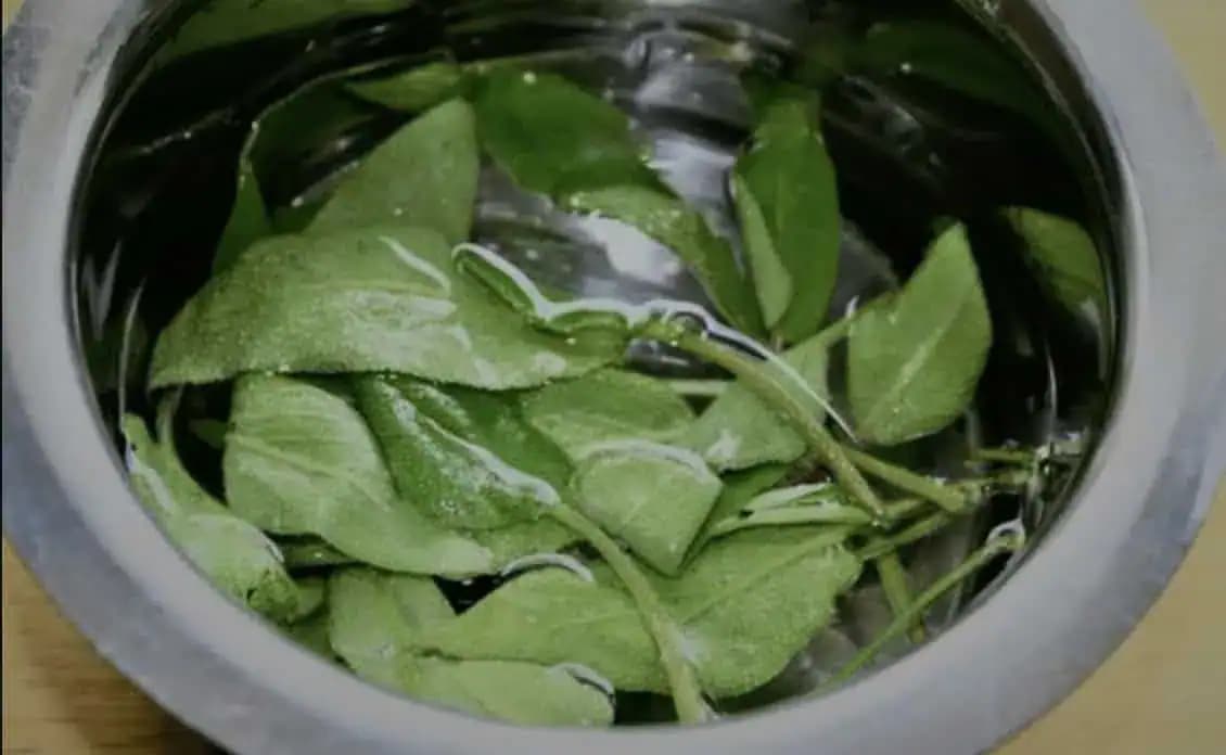 Moja svokra má dávno po 50-tke a ešte NIKDY si nemusela farbiť šediny: 2x do týždňa si vlasy opláchne týmto zázrakom, to je všetko!