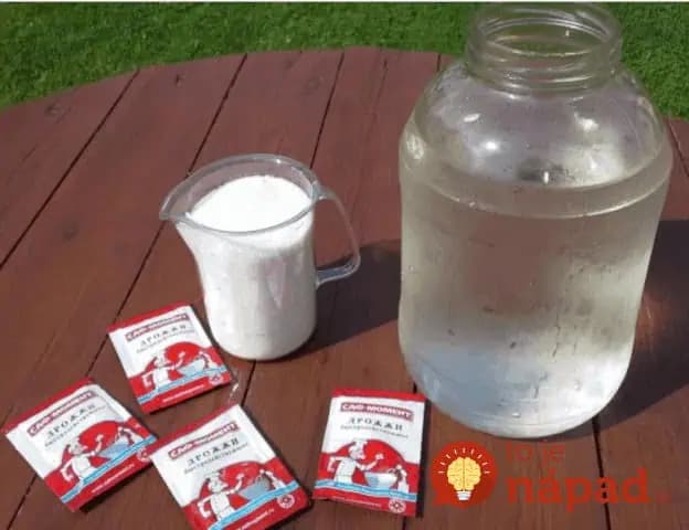 Záhradkári, rajčiny v lete len 3x nakŕmte týmto a úrodu zberáte až do zimy: Už ani Euro na hnojivo z obchodu, toto nemá konkurenciu!