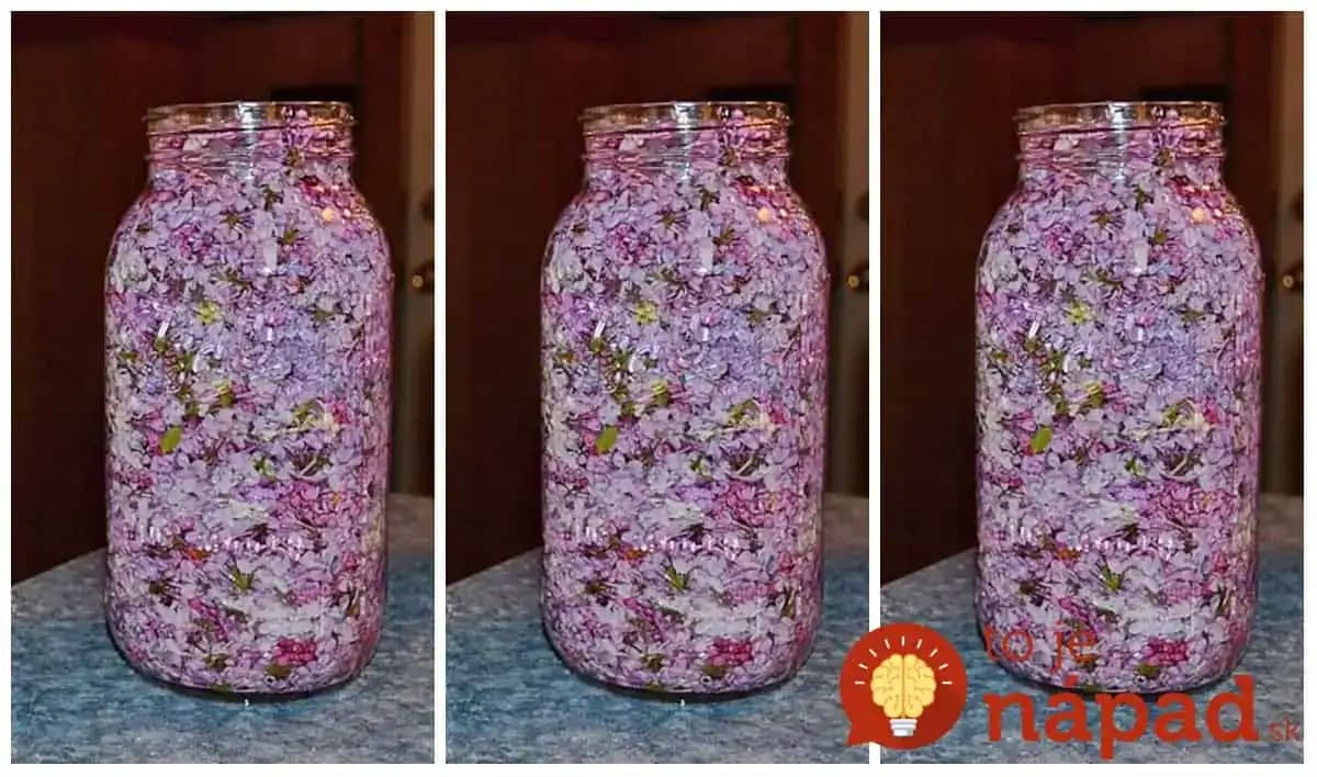 Keď kvitne orgován, vždy natrhám pár hrstí týchto kvetov a zalejme obyčajným olejom: Je to poklad do každej rodiny!