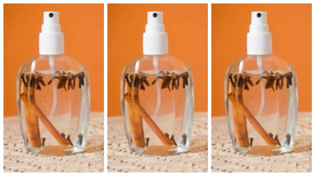 Moja teta vždy dávala do fľaše hrsť klinčekov a kúsok škorice: Nikdy by som nečakala, že raz tento nápad vyvážim zlatom!