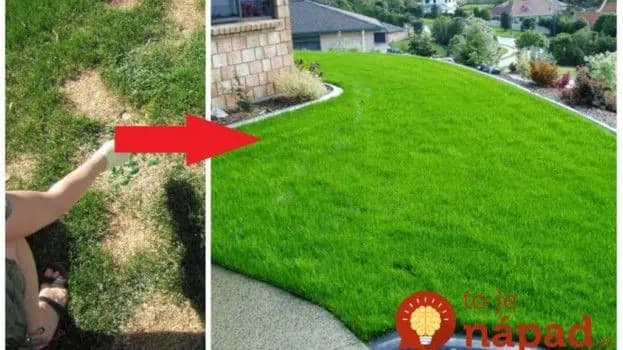 Neriešim drahé hnojivá z obchodu a trávnik mám ako z katalógu: Po zime ho len nakŕmte týmto a sledujte, ako je zo deň krajší!