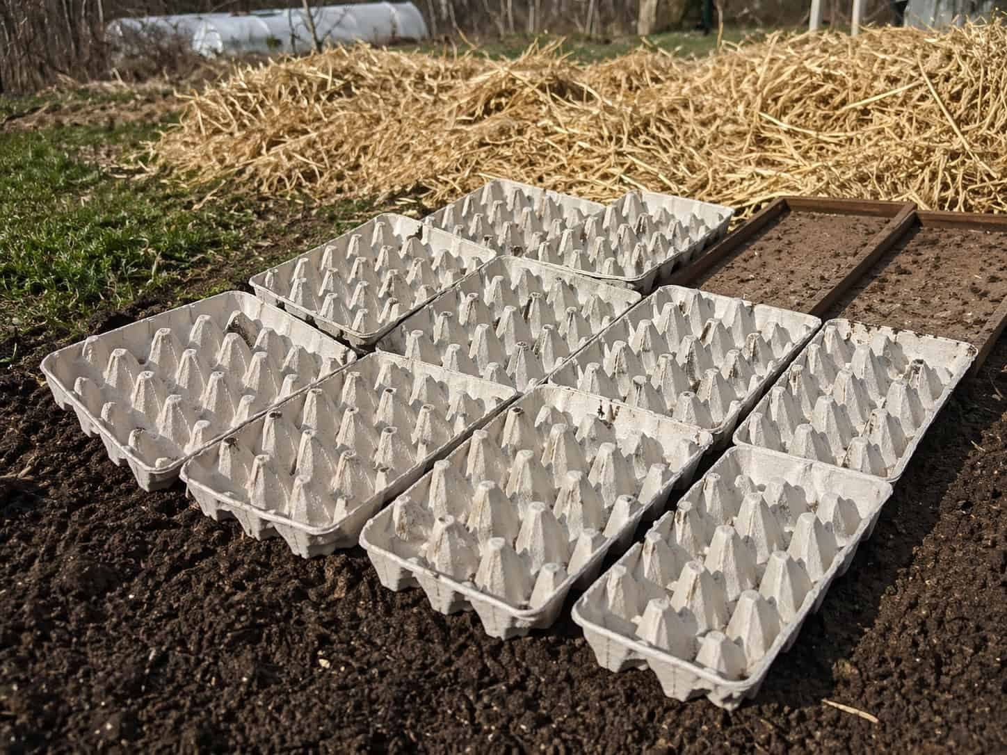 Kto raz skúsil, čo dokážu s úrodou a kvetmi, ten ich už nikdy nevyhodí do koša: Záhradkári, tieto triky s kartónmi od vajec vás dostanú!