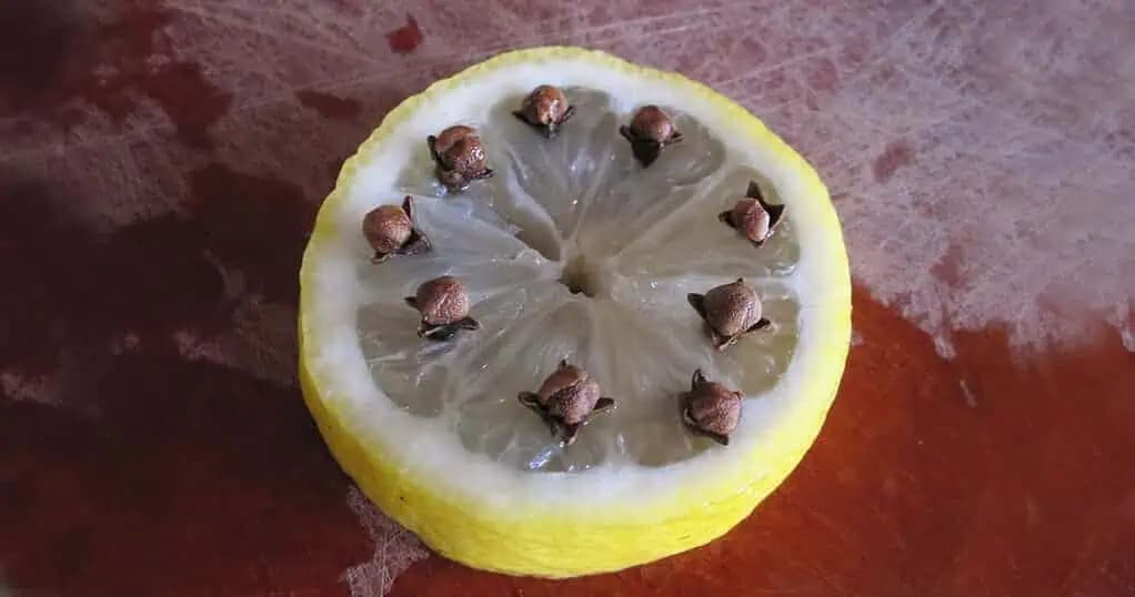 Staré TRIKY, ako sa zbaviť múch a prevoňať celú kuchyňu: Naše babičky nemali na oknách sieťky a takto si vedeli poradiť s háveďou!