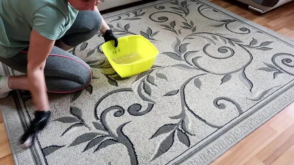 O tomto triku na čistenie koberca vie LEN málokto: Zachráni aj veľmi znečistený koberec – je ako z obchodu!