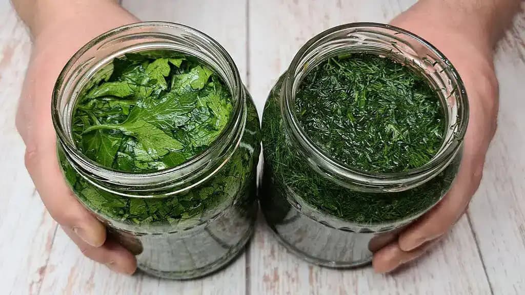BYLINKY nemrazím, nesuším a mám ich čerstvé kedykoľvek počas roka: Spôsob, ktorý ma naučila moja prababička!