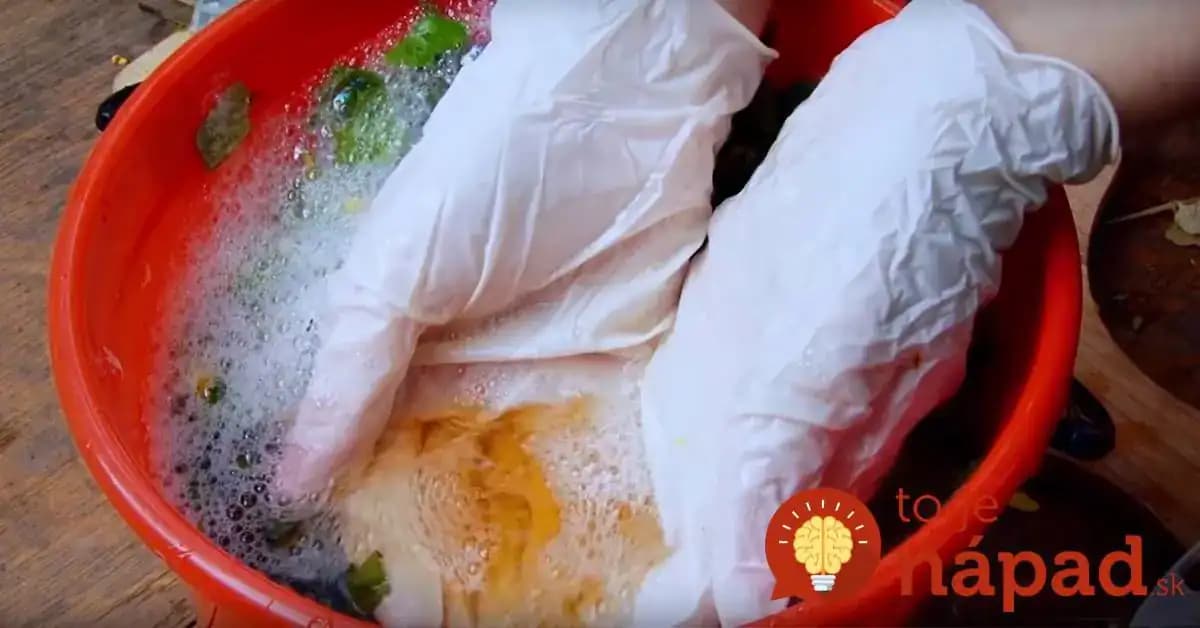 Tejto buriny sa vošky boja ako ohňa: Stačí ju zaliať obyčajným olejom a odplaší aj kliešte – poklad pre každého záhradkára!