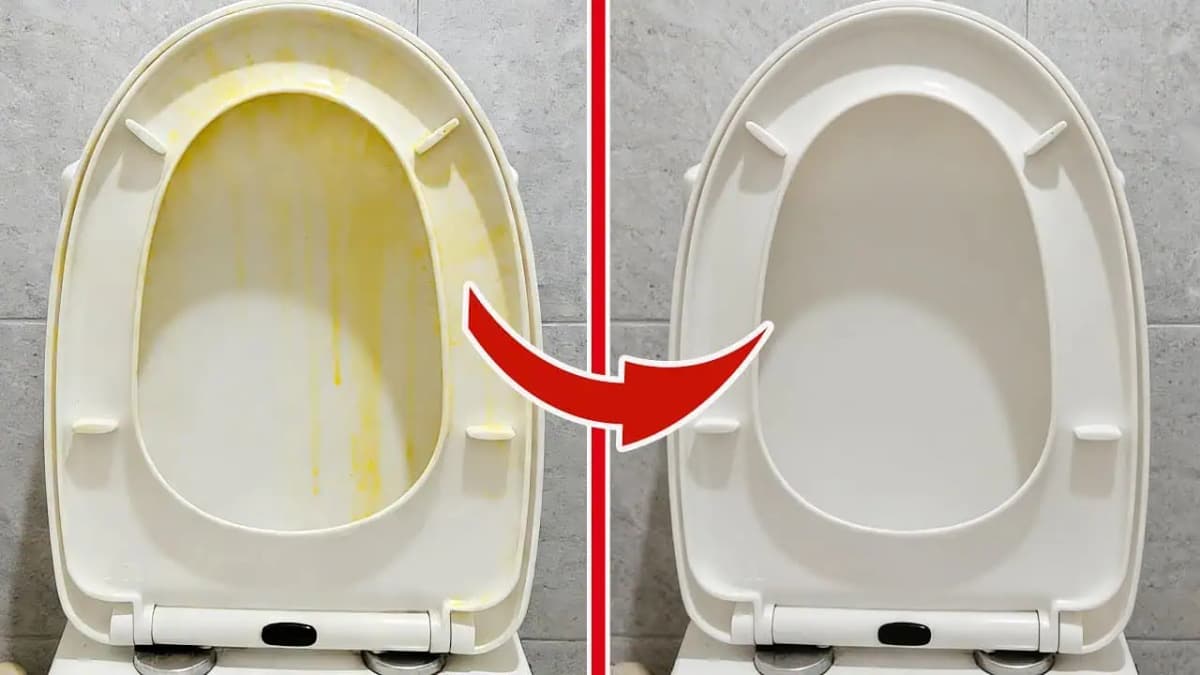 Hotelový trik, ktorý musíte poznať: Záchodová doska je hneď zase BIELA!