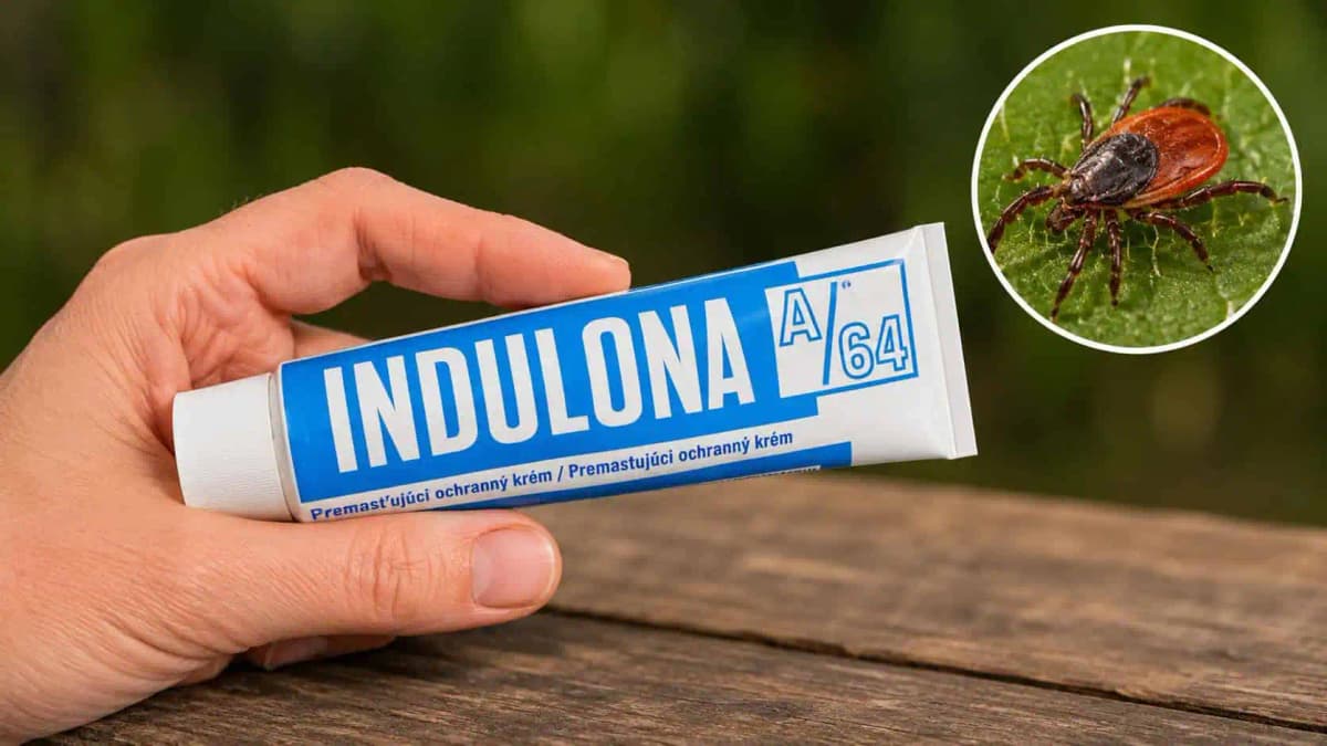 Ako sa zbaviť kliešťov pomocou obyčajnej INDULONY? Starý trik, ktorý perfektne funguje aj dnes!