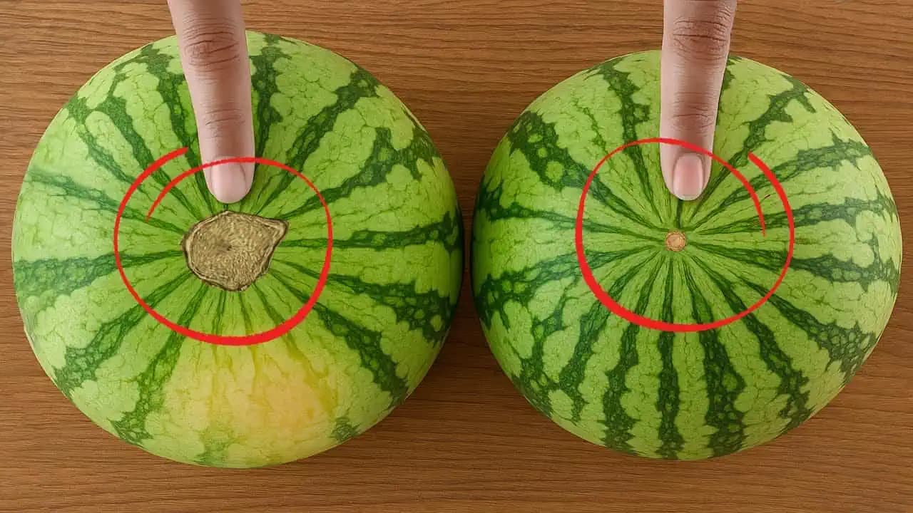 Stačí sa pozrieť na TOTO MIESTO: Takto vždy vyberiete sladký, šťavnatý a dokonale zrelý melón!