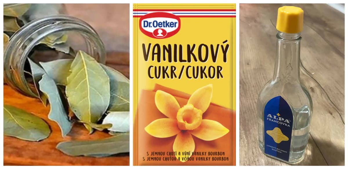 Bobkový list likviduje MRAVCE, vanilkový cukor zaberá na KOMÁRE a alpa odplaší KLIEŠTE: Bič na nenávidenú háveď, funguje lepšie ako chémia!