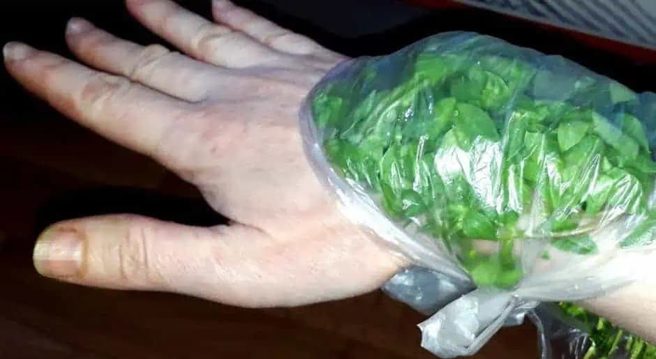 Toto by mal vedieť každý, koho často bolia KĹBY a zvlášť kolená: Musíte skúsiť, čo dokáže OBKLAD z tejto buriny!