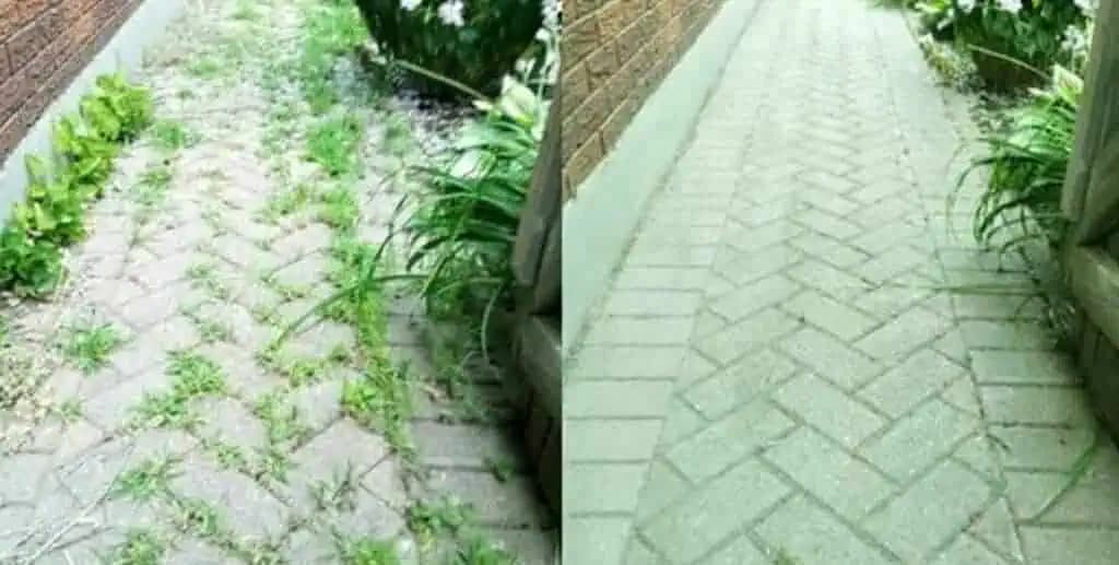 Tráva v škárach na chodníku ma už vôbec netrápi: Teta mi poradila svoju domácu fintu – burinu LIKVIDUJE rýchlo a natrvalo!