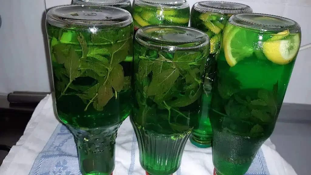 Vyrábam zásobu na celý rok: Domáce „MOJITO“ na zimu. RECEPT na najlepší letný nápoj do pohárov!