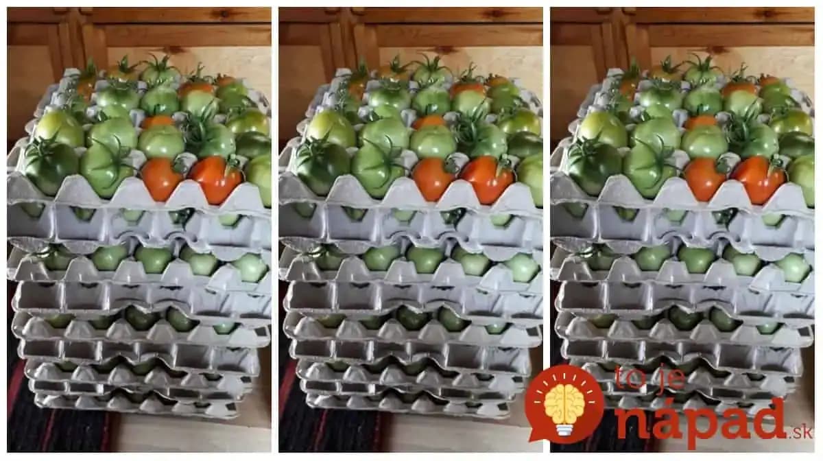 Zelené rajčiny a kartóny od vajec – túto kombináciu by mal v týchto dňoch poznať každý, kto má v záhrade nedozreté rajčiny: Perfektná rada!