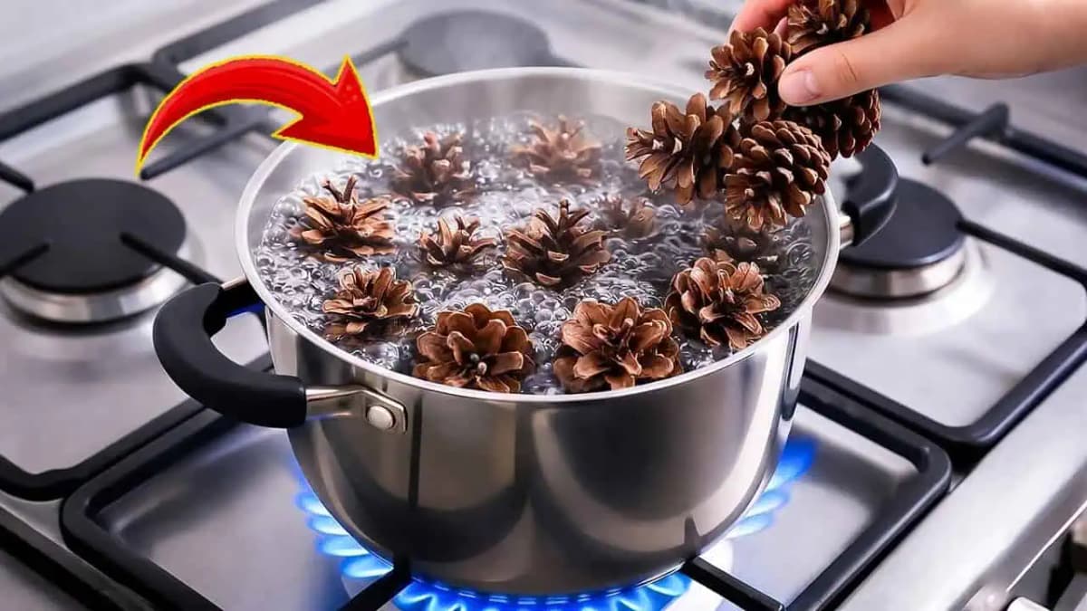 Dajte šišky do vriacej vody pre tento fantastický domáci trik!