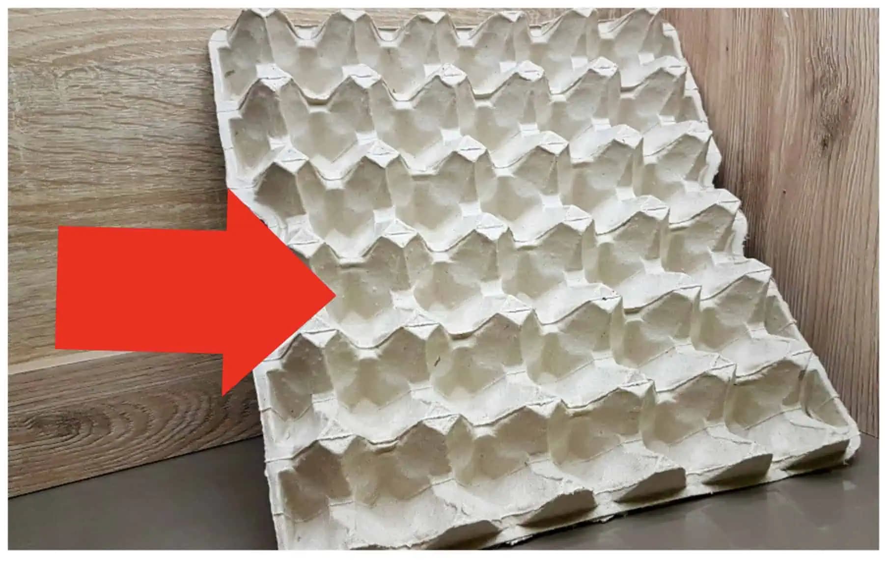 Moja suseda ma naučila parádny VIANOČNÝ nápad z kartónu od vajec: Toto si vaše deti určite zamilujú (POSTUP)!