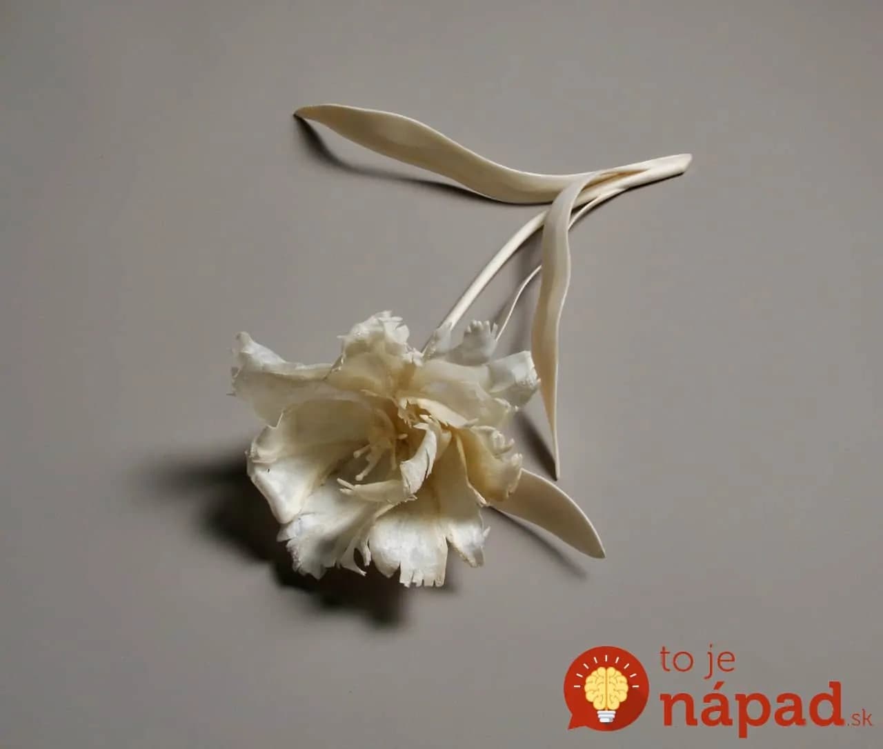 Umelkyňa tvorí krásne diela z materiálu, z ktorého mrazí