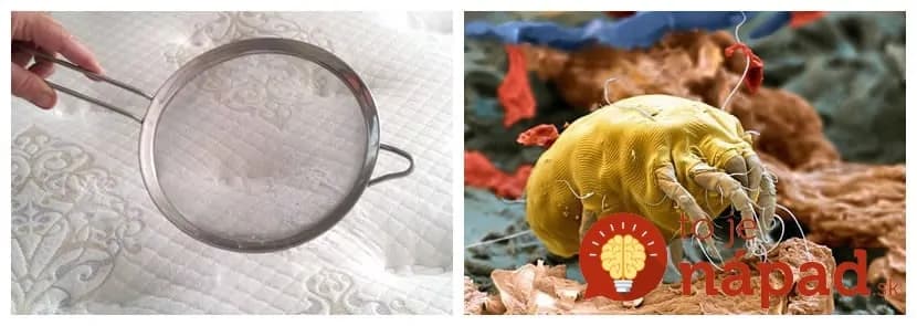 Skoncujte s roztočmi v matracoch a kobercoch: Toto je najjednoduchší spôsob, ako sa ich zbaviť!