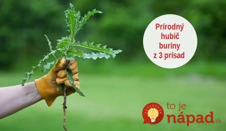 Zničte nenávidenú burinu a raz a navždy. Stačí zmiešať tieto 3 bežné suroviny!