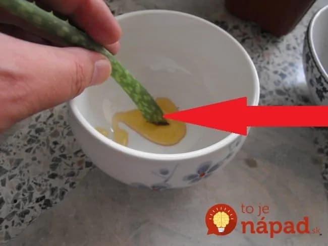 Najjednoduchší spôsob ako rozmnožiť Aleo Vera!