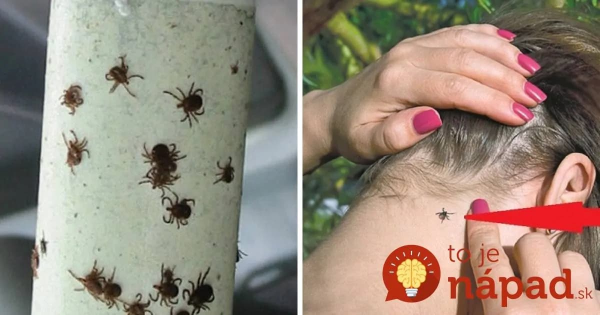 Sezóna kliešťov je tu: Urobte pred odchodom do prírody túto jednoduchú vec a budete v bezpečí!