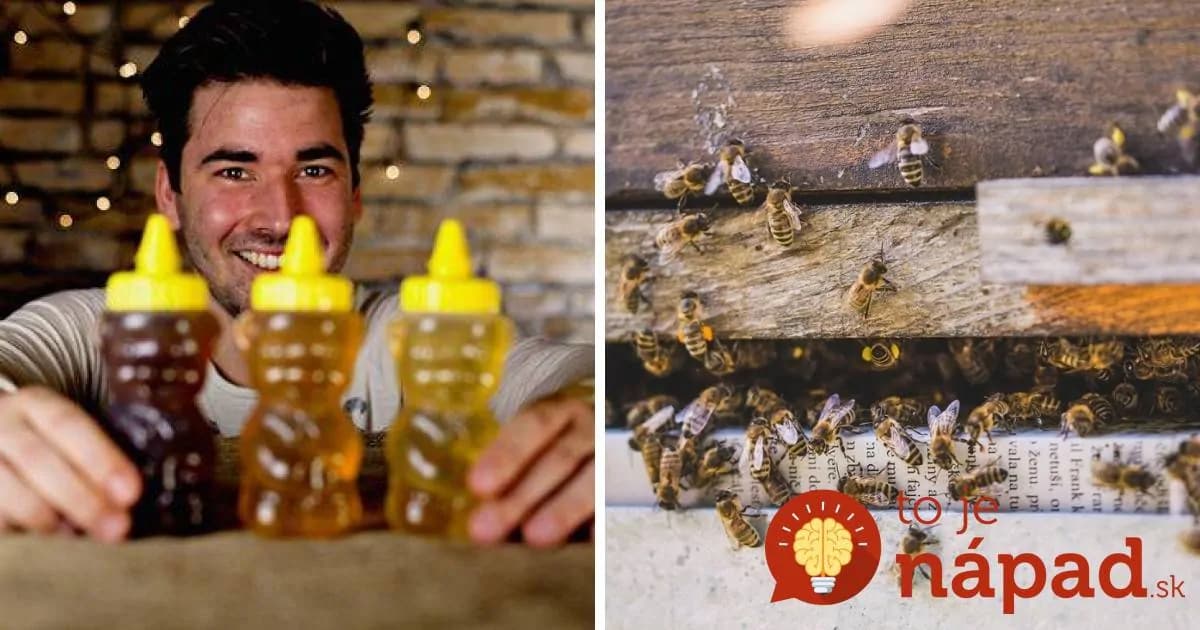Slovák z včelárskej rodiny prezradil jednoduchý trik: Takto vždy rozlíšite poctivý med od falošného!
