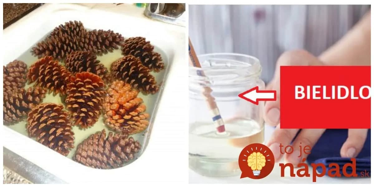 Toto sa stane, ak namočíte do bielidla šišky, alebo gumičku z ceruzky: Nikdy by nám nenapadlo, že okrem prania sa dá použiť aj takto geniálne!