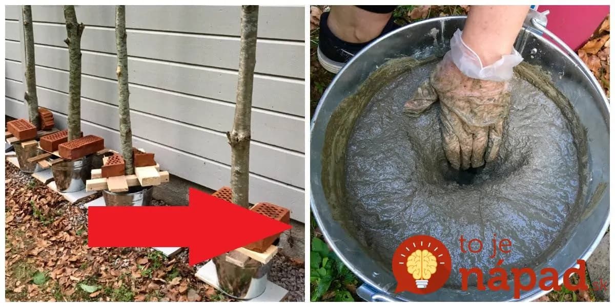 Drevené koly nezatĺkli do zeme, ale dal ich do starých vedier a zaliali betónom: Potom stačí len priniesť substrát, priesady a takmer zadarmo si môžete úžasne vylepšiť terasu alebo záhradu!