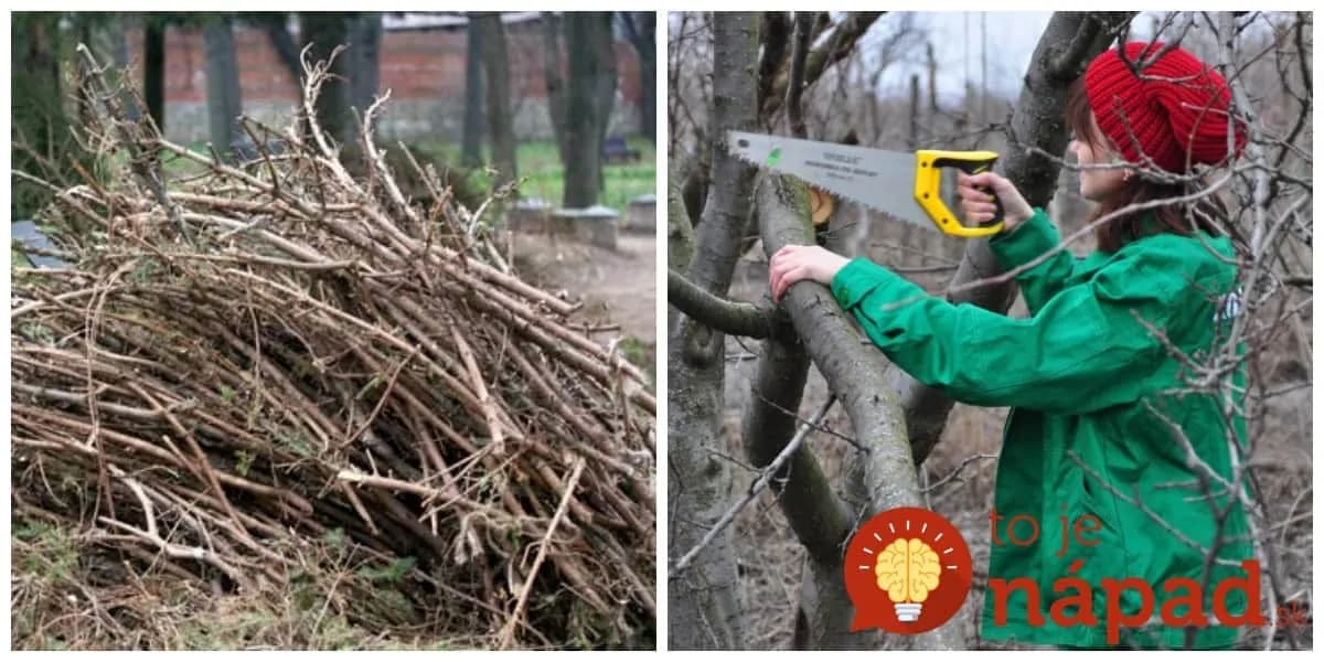 Na jar sa rozhodli vyčisť pozemok od starých konárov: Najskôr ich chceli len tak spáliť, potom však prišli s geniálnym nápadom do záhrady!