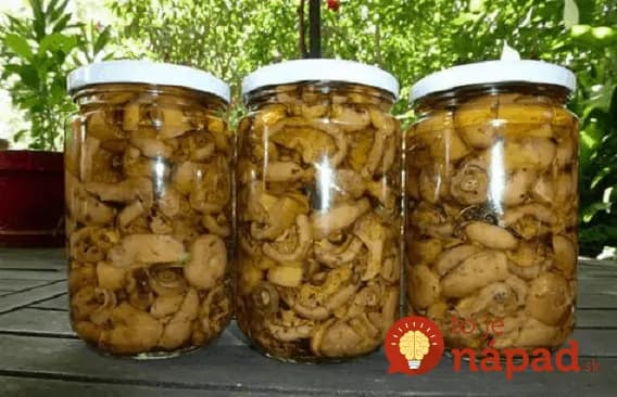 Toto mi poradil hubár z Oravy a naozaj to funguje: 2 roky a stále chutia ako čerstvé, bez nálevu, vody a akýchkoľvek prísad!