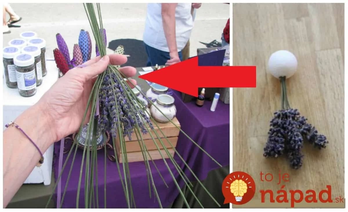 Nemusíte ju viazať len do kytičiek, toto je ešte lepšie: Úžasný nápad, ako zužitkovať úrodu levandule – toto vás bude tešiť celý rok!