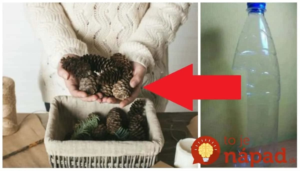 Vzala len rozrezanú plastovú fľašu a pár šišiek: Tento jesenný nápad nestojí nič, ale obdivovať ho bude úplne každý!