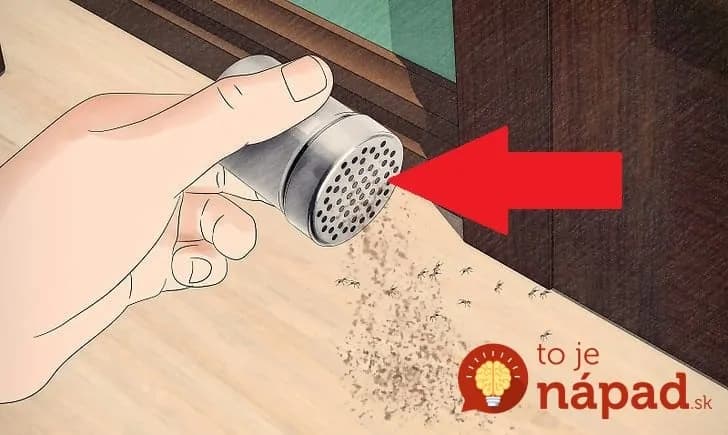 Mravce nenávidia klinček a myši straší ocot: Najlepšia rada, ako udržať byt bez hávede na celé mesiace a bez chemikálií!