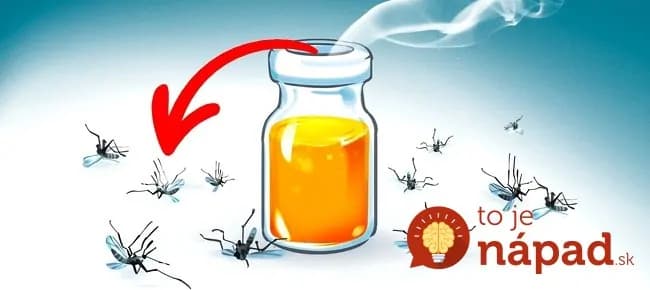 Jednoduché a lacné riešenie, ako sa zbaviť otravných múch a komárov vonku aj vnútri: Koniec bzučania a štípancom!