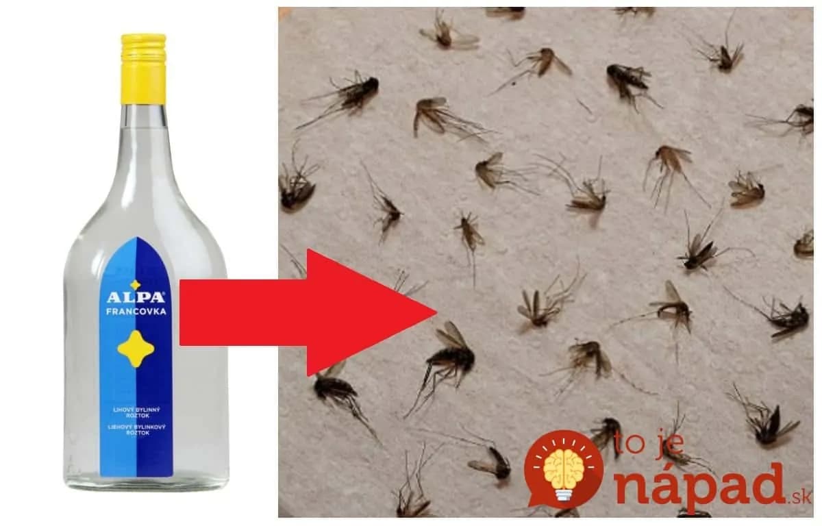 Prírodný repelent proti komárom a kliešťom z 3 prísad!