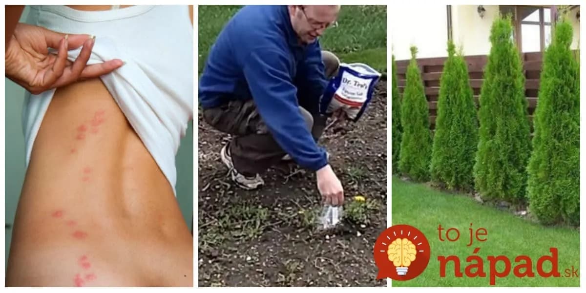 23 neoceniteľných trikov s horkou soľou, ktoré ušetria kopec peňazí aj námahy: TOTO dokáže doma a v záhrade!