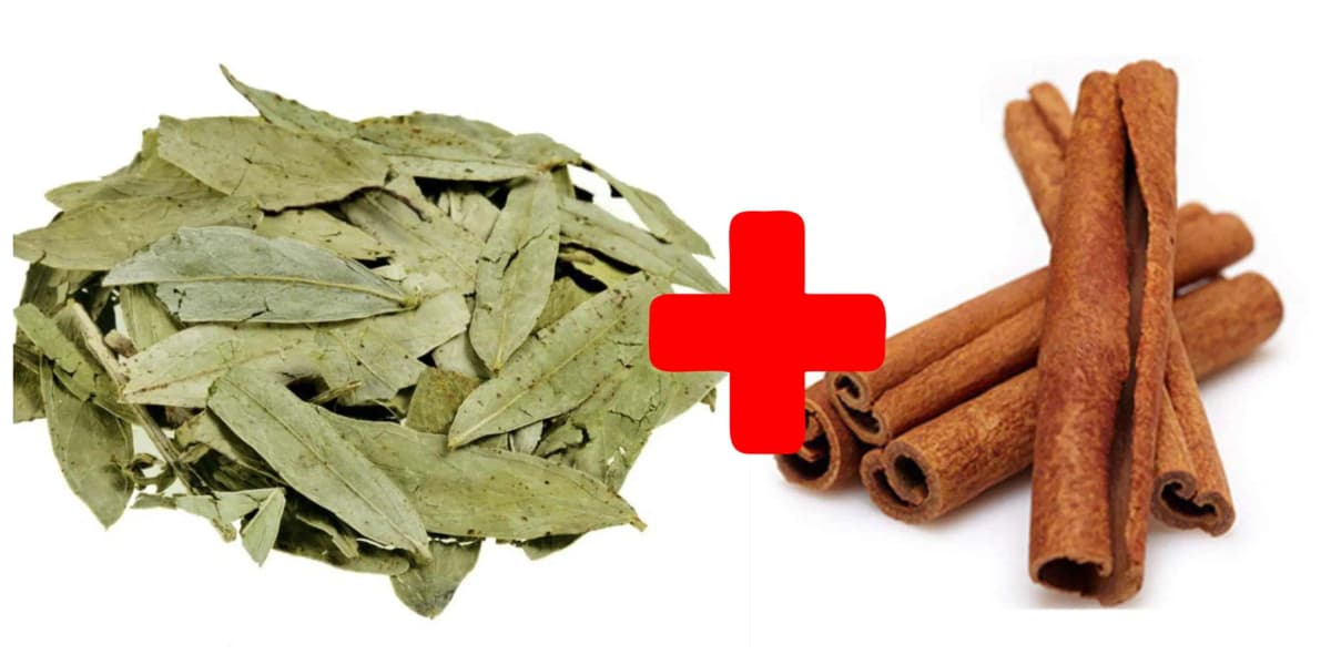 Škorica a šalvia sú spolu silnejšie ako hocijaký LIEK, hovorila moja starká: Tento recept si pamätajte na celý život!