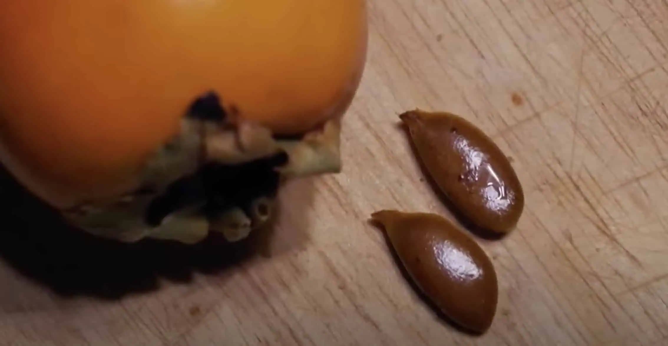 Ako si vypestovať hurmikaki doma